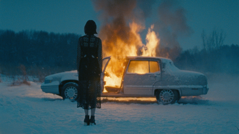 SWEET WILLIAM | Brooks Reynolds